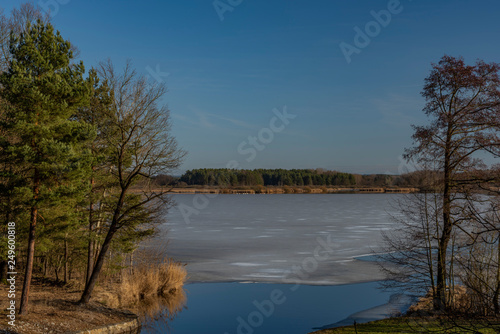Fototapeta Naklejka Na Ścianę i Meble -  Nice sunny winter day near Rozmberk pond in south Bohemia