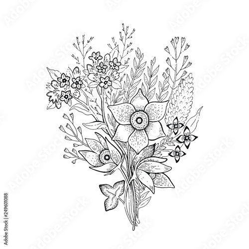Spring flower bouquet, sketch floral illustration. Hand drawn vector silhouette graphic for coloring book, t-shirt print, wedding invitation, mother s day card. Cute realistic springtime or summer art