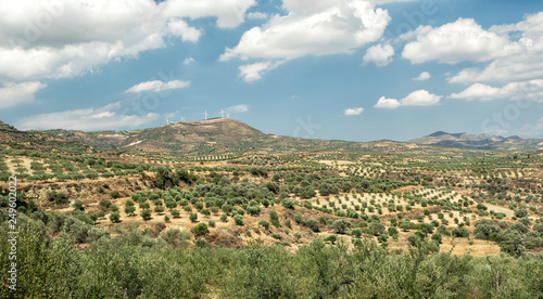 Wind Farm and Olive field with blue sky and clouds at Crete Island, Greece