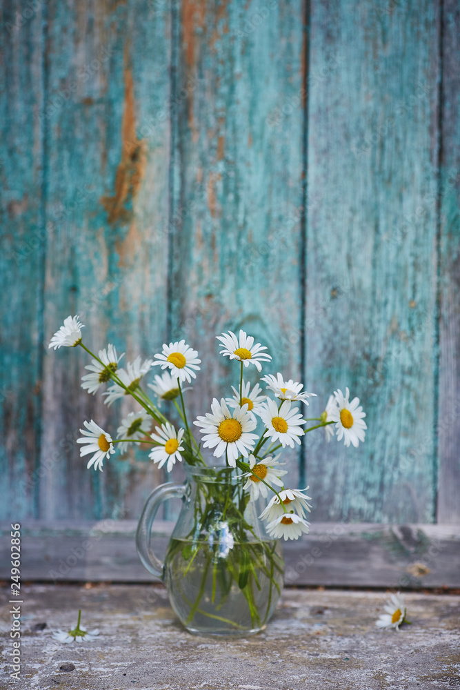 Charming still life with copy space chamomilles and daisies in water on wood background Charming still life with copy space chamomilles and daisies in water on wood background