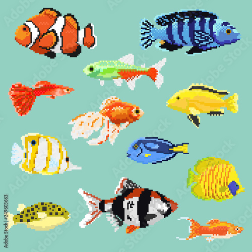 Big set of pixel exotic fish isolated on a blue background.