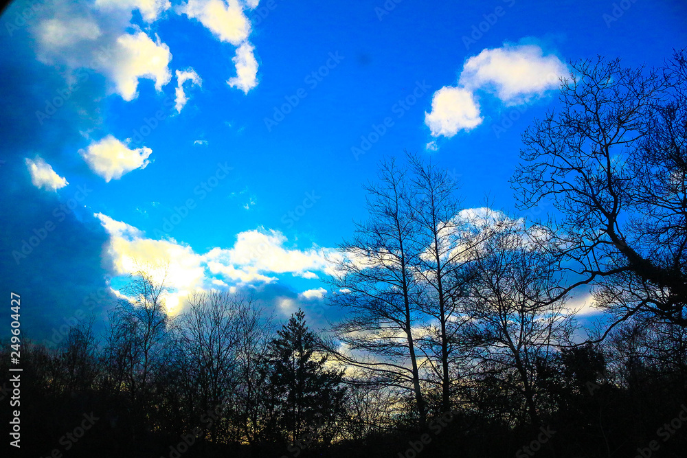 Obraz premium London