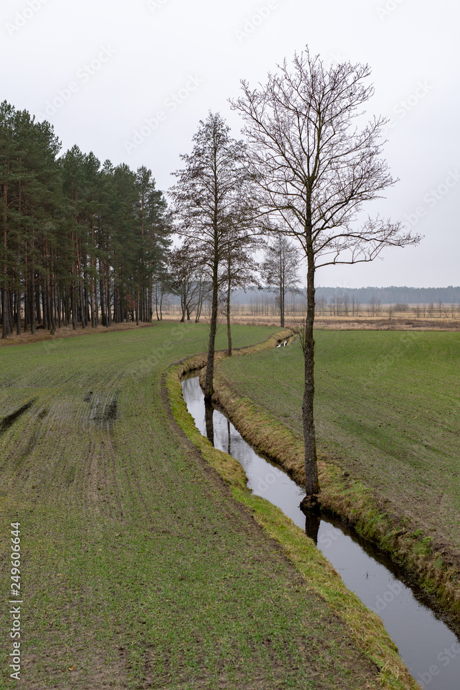 A small ditch passing through a meadow. Trees growing over a small river. A small ditch passing through a meadow. Trees growing over a small river.