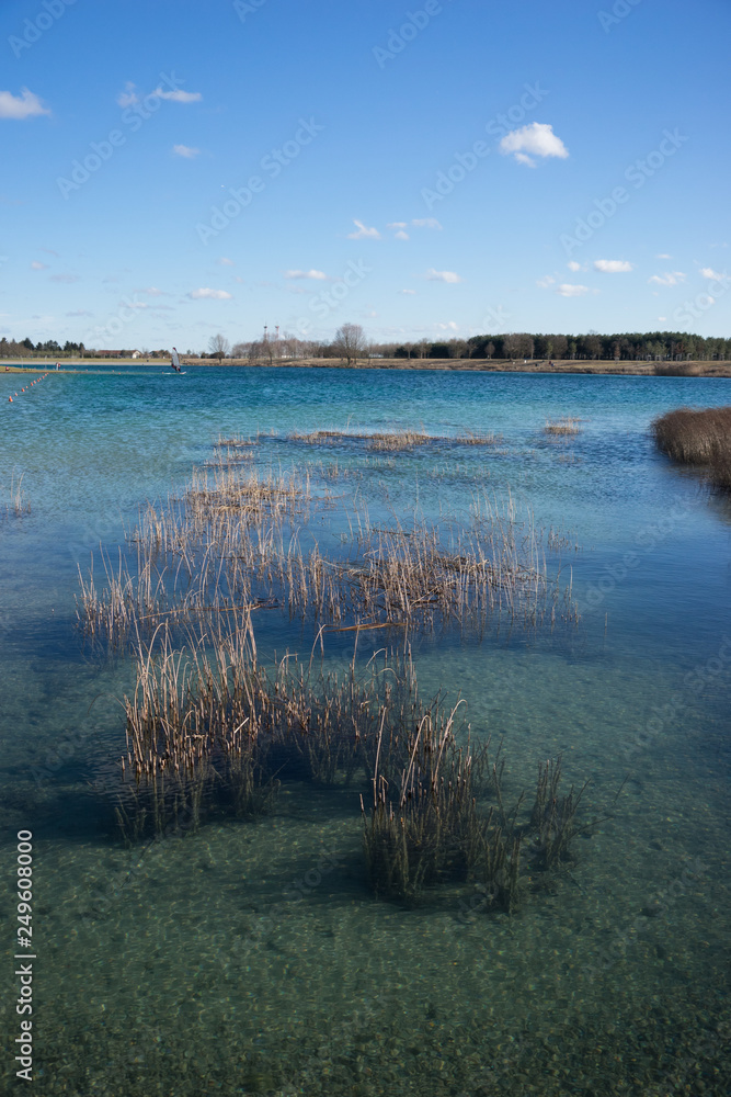 Im Schilf - Winterlandschaft am See