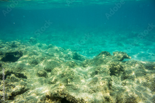 Underwater texture and fauna in Ionian sea, Zakynthos, Greece