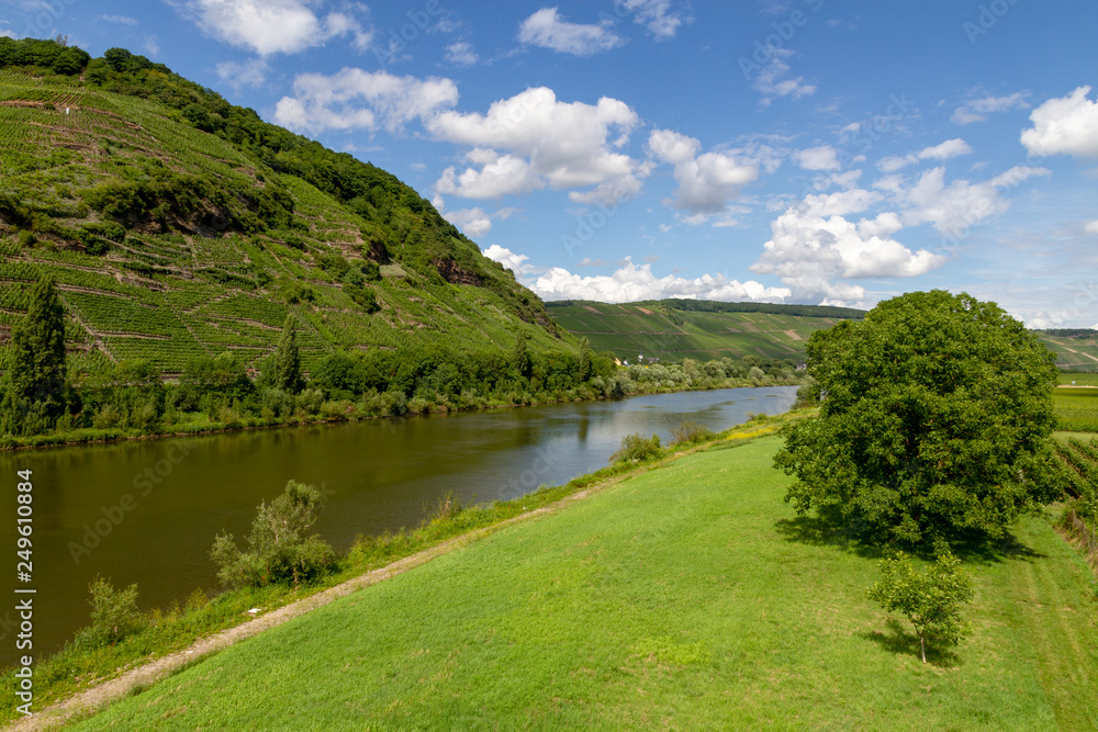 travel to Germany - view of valley of Mosel river in Cochem - Zell region on Moselle wine route in sunny summer day