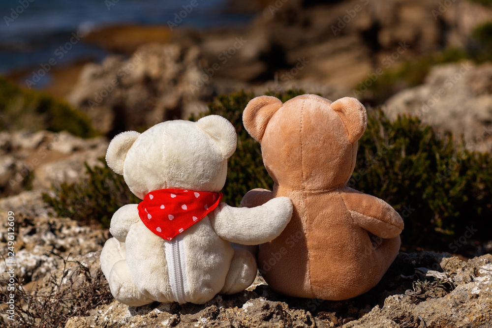 2 teddy bears hugging top each other