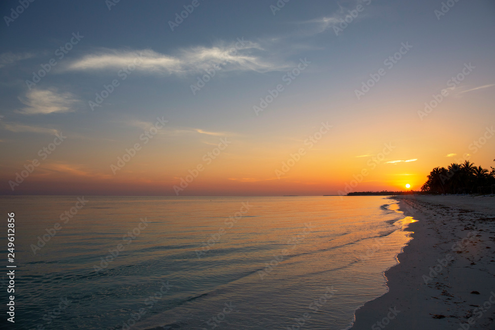 Palm trees blowing in the sea breeze at sunset on a luxurious sandy beach shore