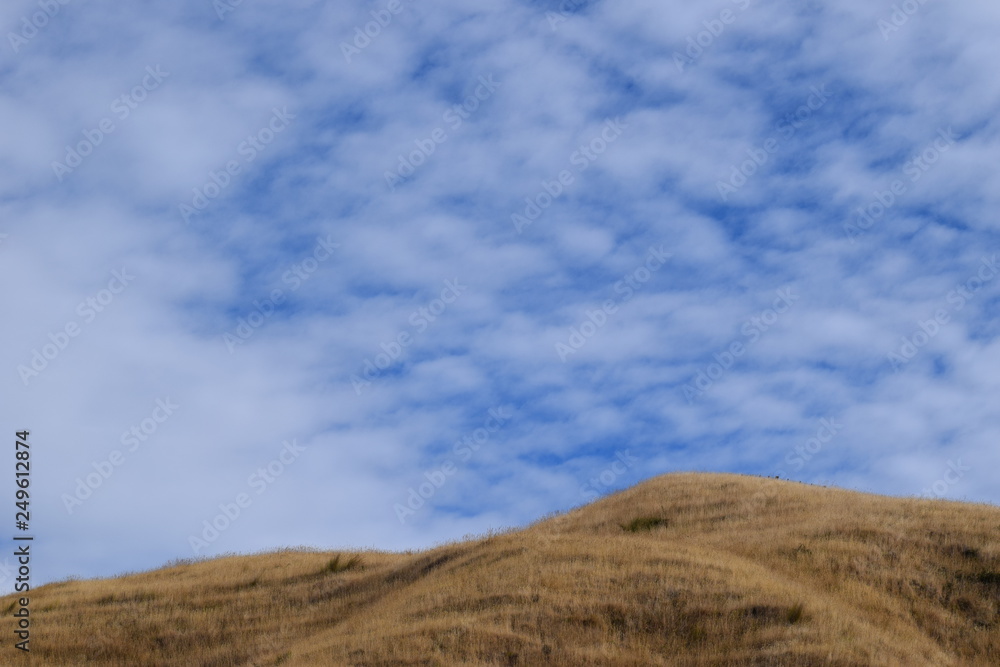 The dry grass on the hill top touches the blue sky with thin clouds above Gisborne, New Zealand. The dry grass on the hill top touches the blue sky with thin clouds above Gisborne, New Zealand.