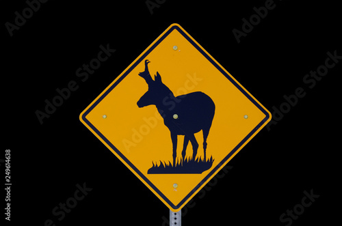 Pronghorn Antelope Sign