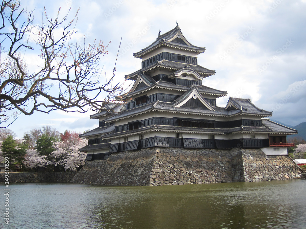 Naklejka premium 長野 桜越しに見える松本城の春