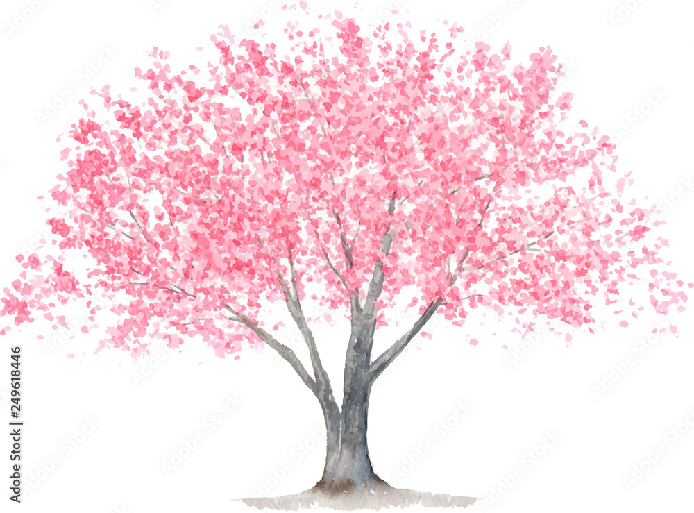 桜の木 水彩イラスト Stock Vector Adobe Stock