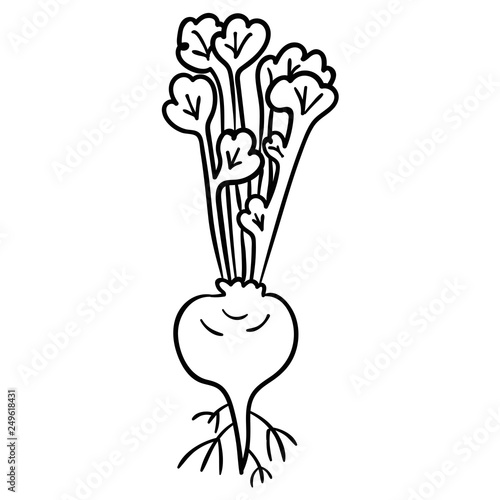 Cartoon doodle linear turnip isolated on white background. Vector illustration.