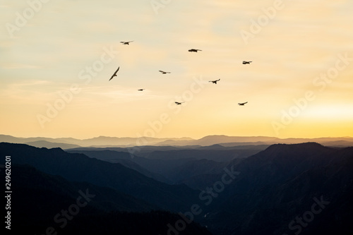 A Flock of Birds Flies Into a Mountain Sunset