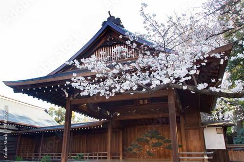 靖国神社　能楽堂 photo