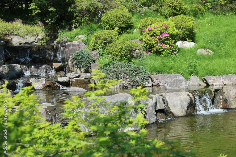 新緑に包まれた初夏の神戸・須磨離宮公園の滝