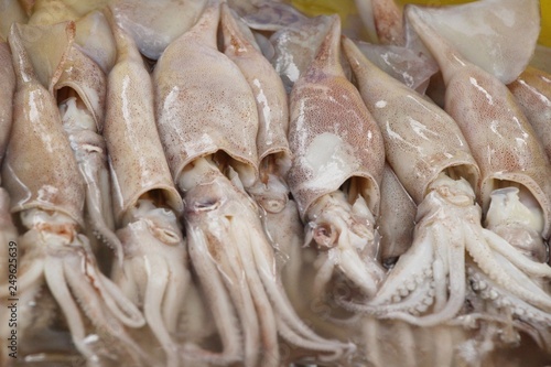 Fresh squid for cooking at street food