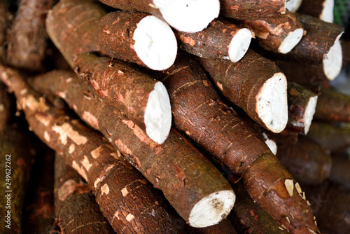 Fotografía Fresh harvested raw Colombia Yuca Root, or Cassava Root in a farmers produce mar