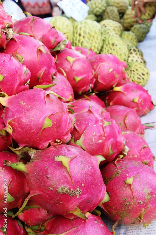 Fresh dragon fruit organic in the market
