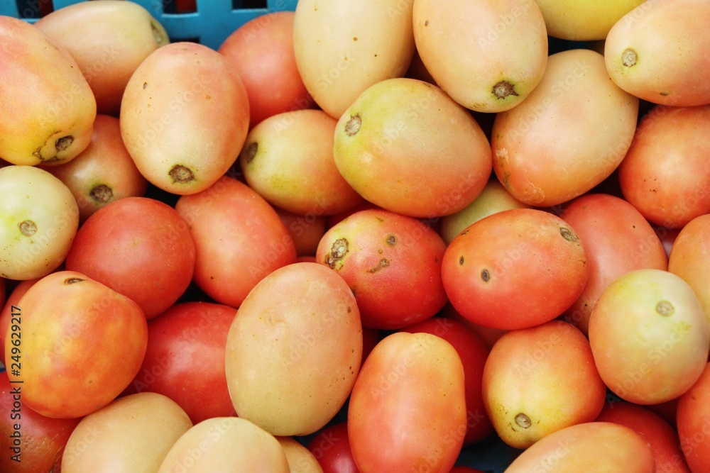 Fresh tomatoes for cooking in street food