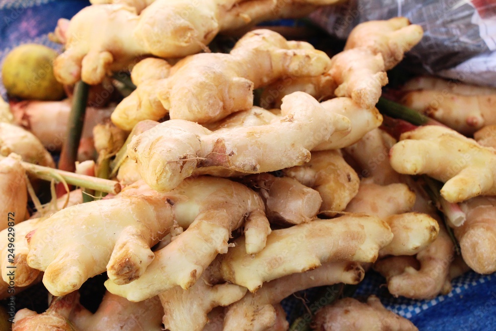Ginger root for cooking in the market. Ginger root for cooking in the market.