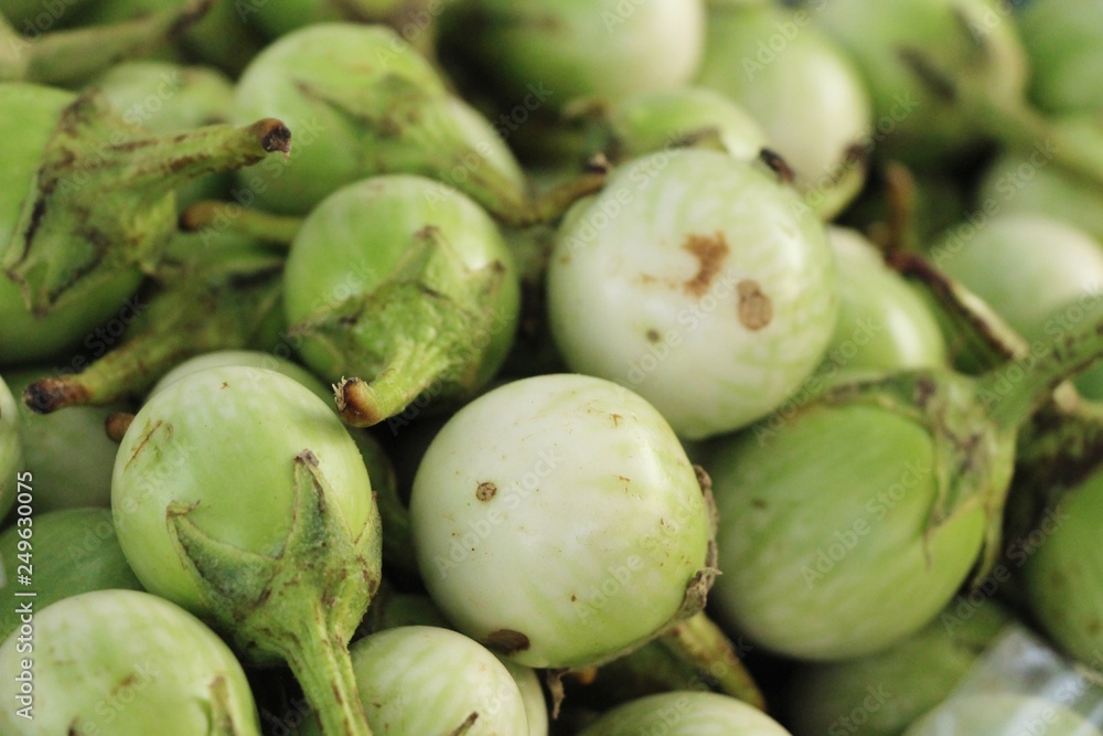 Fresh eggplant green organic at street food Fresh eggplant green organic at street food