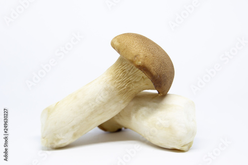 Organic Eryngii mushrooms on white background close up.