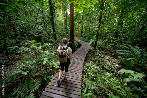 Young Caucasian Backpacker, Hiking Through Rainforest on Wooden Walkway in Mulu National Park, Borneo Malaysia