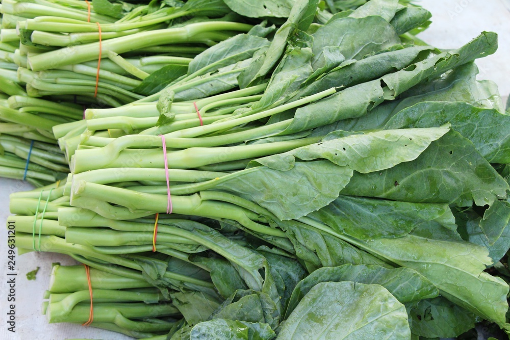 chinese kale for cooking at street food