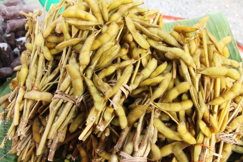 Green japanese soybean delicious at street food