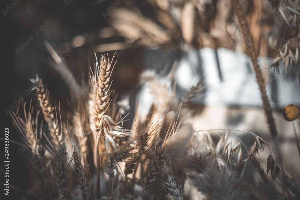 Fototapeta premium Wheat in bag background
