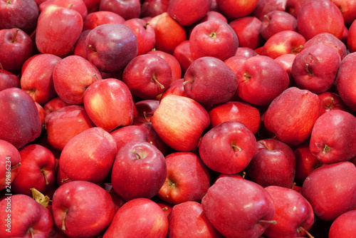 Fresh picked red delicious apples background in the harvest season