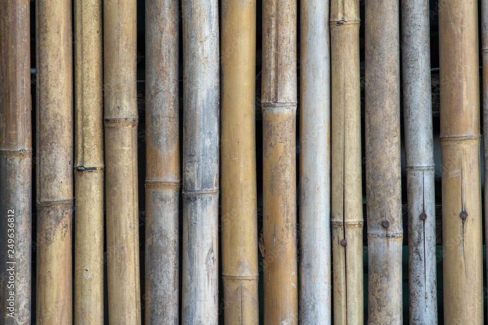 Multiple uses of bamboo including wall, fence, roof and building Multiple uses of bamboo including wall, fence, roof and building