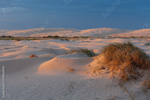Orange sununet reflecting in white sand dunes. Anna Bay, New South Wales, Australia