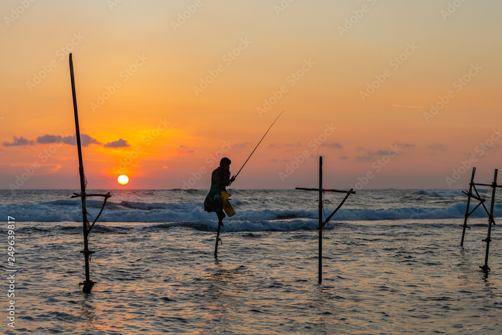 Famous traditional Sri Lankan stilt fishing. Unawatuna, Sri Lanka.