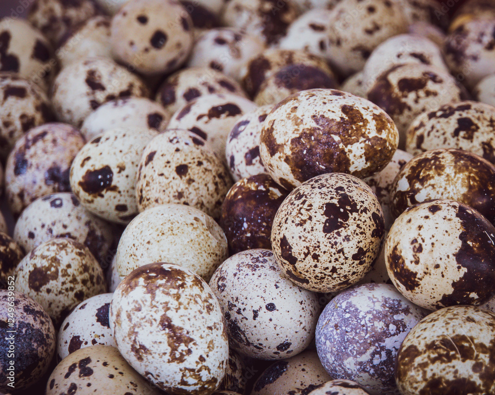 small speckled bird eggs used in Burmese food 