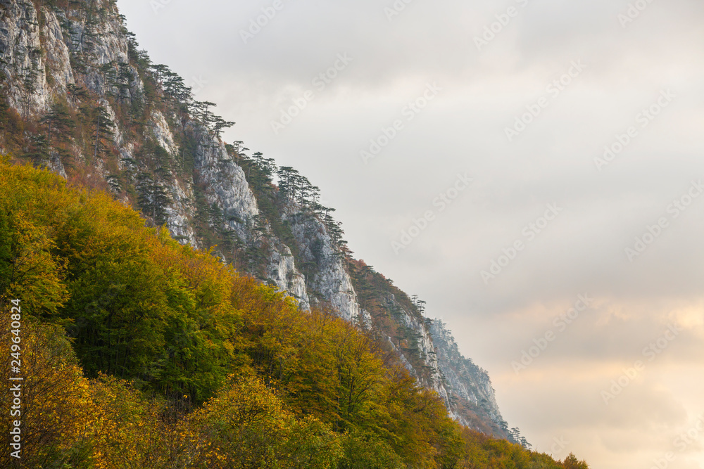 Autumn landscape in limestone mountains, with beautiful foliage, mist and black pine trees hanging on rocks