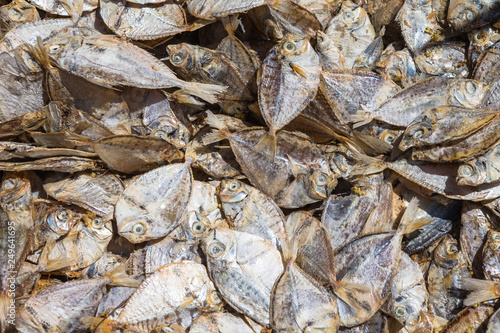 Dried on sun fish. Weligama, Sri Lanka.
