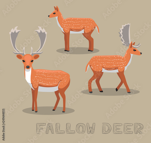 Deer Fallow Cartoon Vector Illustration