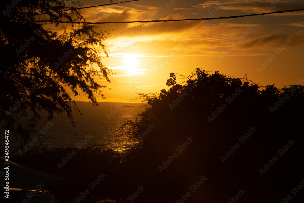 Fototapeta premium sunset