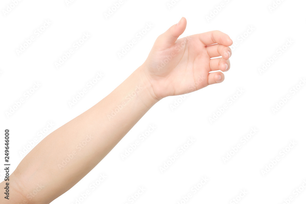 Hands holding something isolated with clipping path. Hands holding something isolated with clipping path.