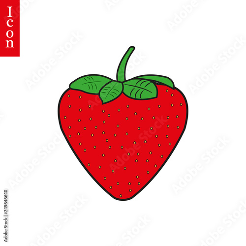 Garden strawberry fruit or strawberries flat color vector icon for food apps and websites