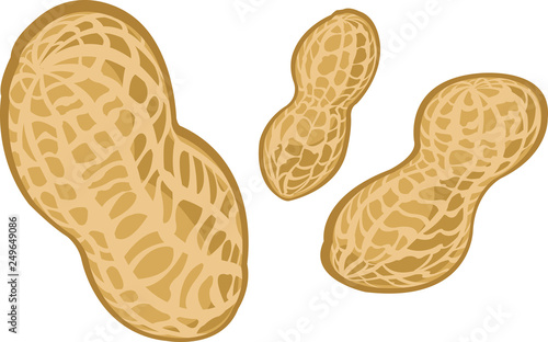 peanuts isolated on white background