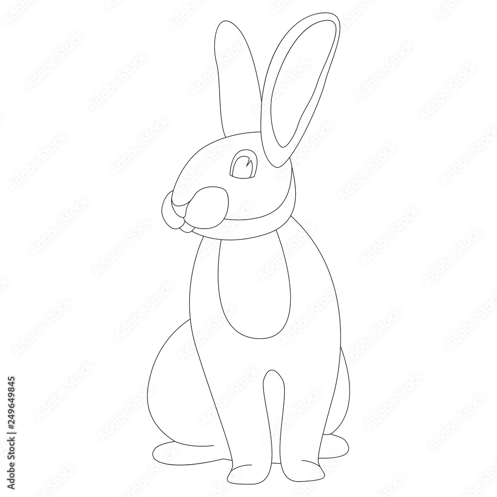 cartoon rabbit, vector illustration , front view, Stock Vector Adobe