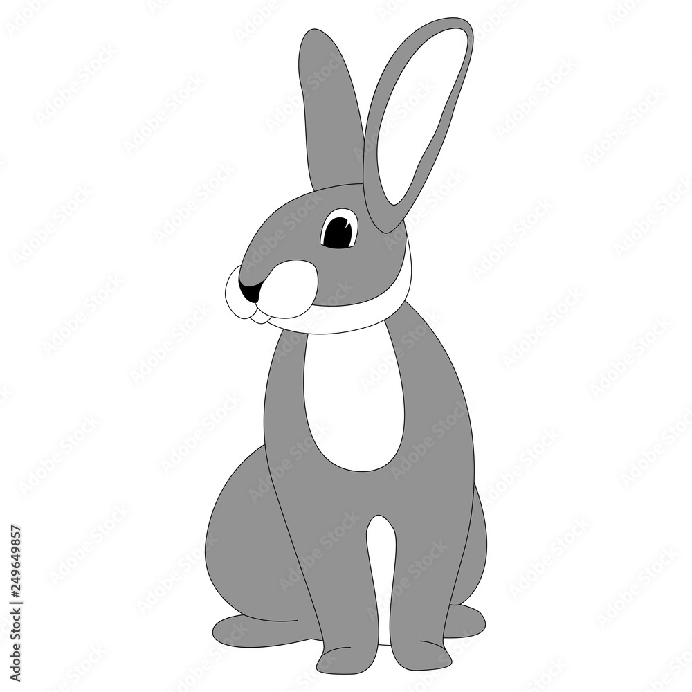 Fototapeta premium cartoon rabbit, vector illustration , front