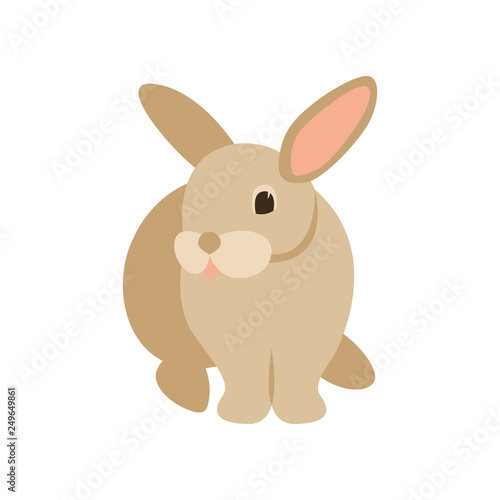 cartoon rabbit, vector illustration ,  front © wectorcolor