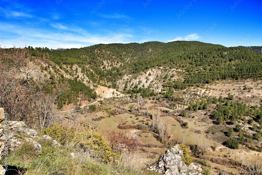 Mountain landscape with green vegetation in winter Mountain landscape with green vegetation in winter