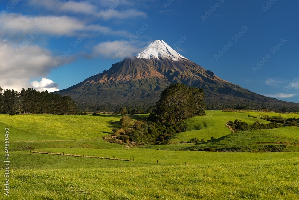 Mount Taranaki under the blue sky with grass field and cows as a foreground in the Egmont National Park, the most symmetrical volcanic cones, Taranaki, New Zealand Green farmland in the foreground