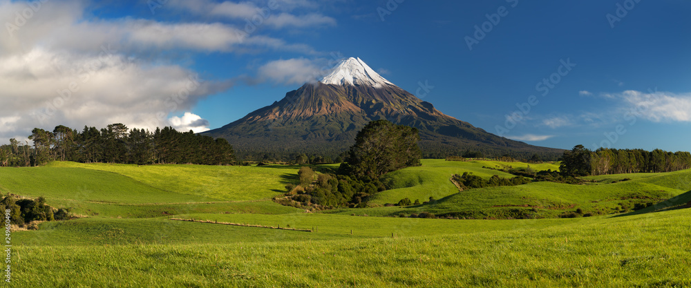 Mount Taranaki under the blue sky with grass field and cows as a foreground in the Egmont National Park, the most symmetrical volcanic cones, Taranaki, New Zealand Green farmland in the foreground