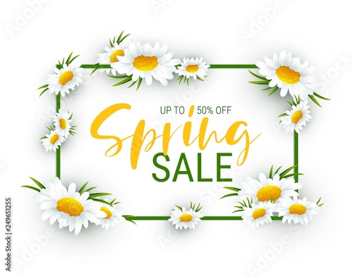 Chamomile frame with saler text.Flower frame. Floral border.Spring flowers frame composition. Sale background design